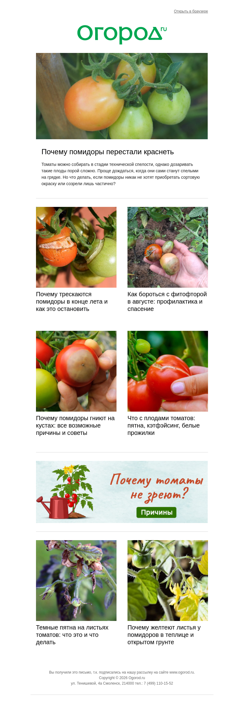 Письмо компании «Огород.ru» на тему «🍅 Проблемы с томатами»