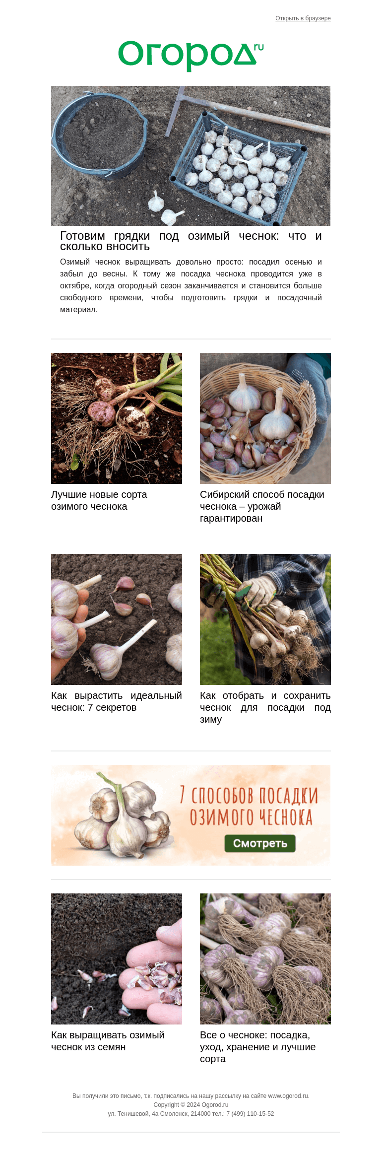 Письмо компании «Огород.ru» на тему «🧄 Озимый чеснок – сорта и подготовка грядки»