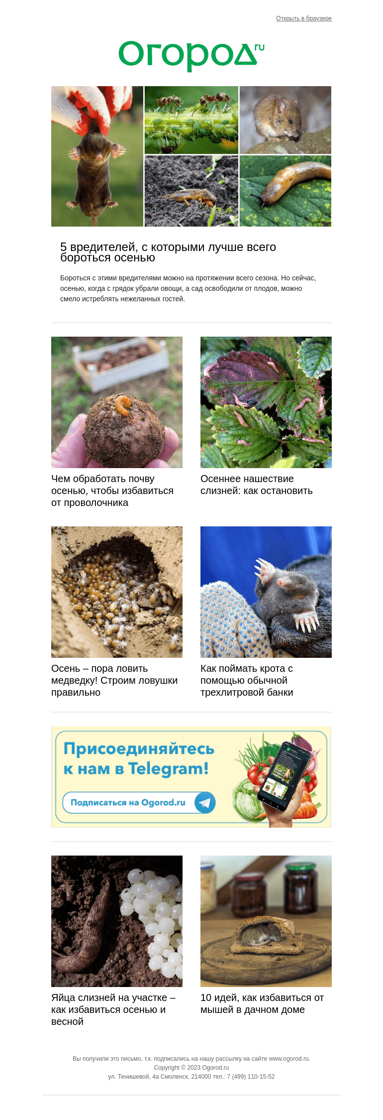 Письмо компании «Огород.ru» на тему «Вредители, с которыми нужно бороться осенью»