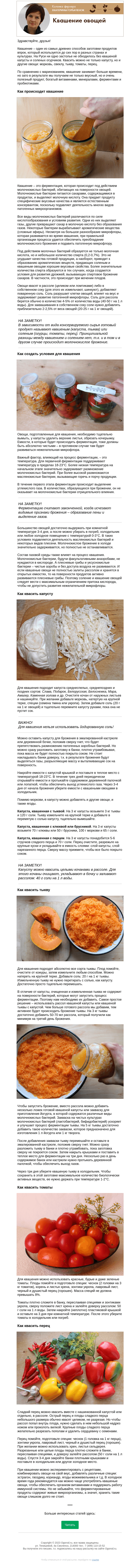 Письмо компании «Огород.ru» на тему «Колонка фермера. Квашение овощей»