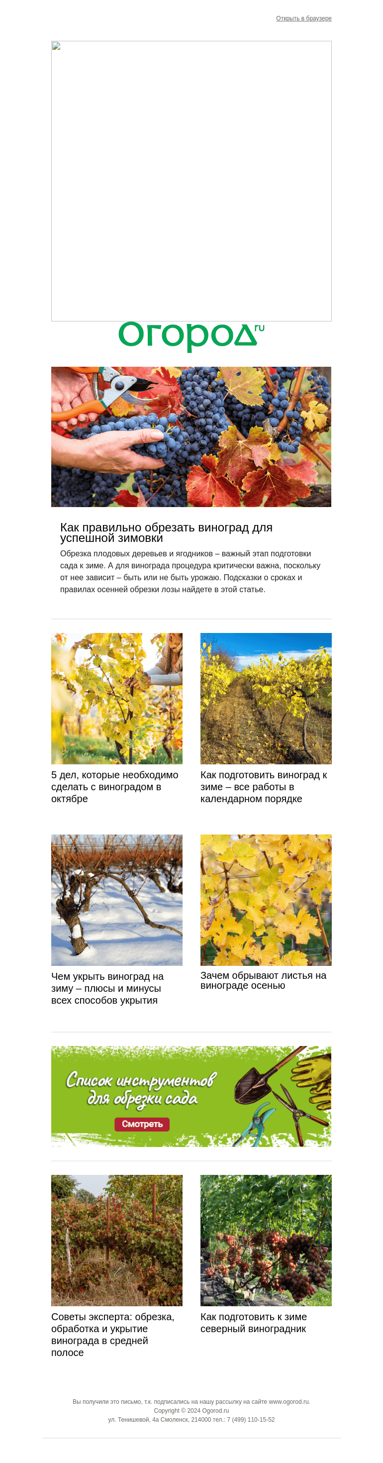 Письмо компании «Огород.ru» на тему «🍇 Готовим виноградник к зиме»
