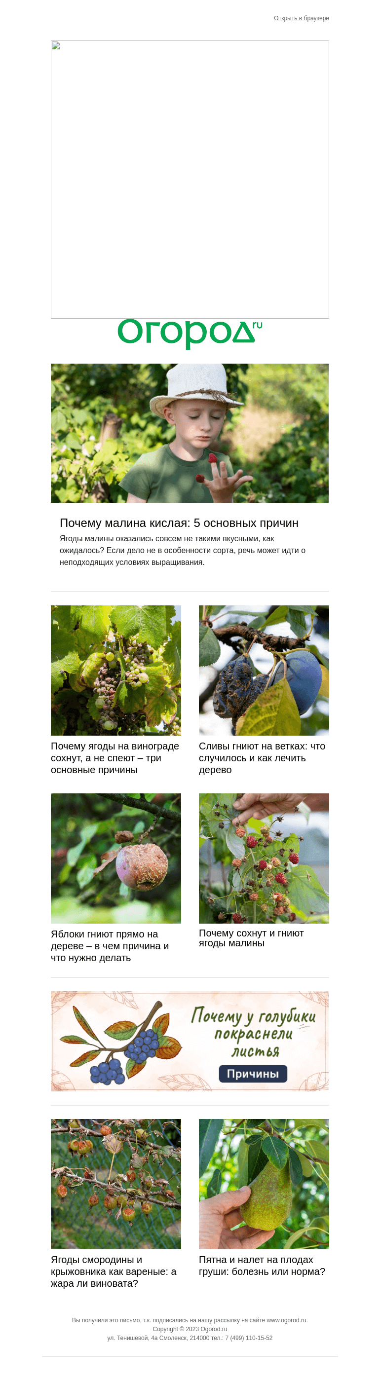 Письмо компании «Огород.ru» на тему «Ягоды и плоды невкусные или гниют? Ищем причины »