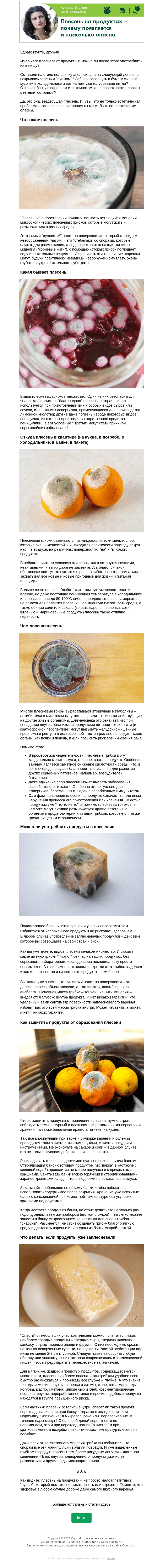 Письмо компании «Огород.ru» на тему «Колонка биолога: плесень на продуктах – почему появляется и насколько опасна»