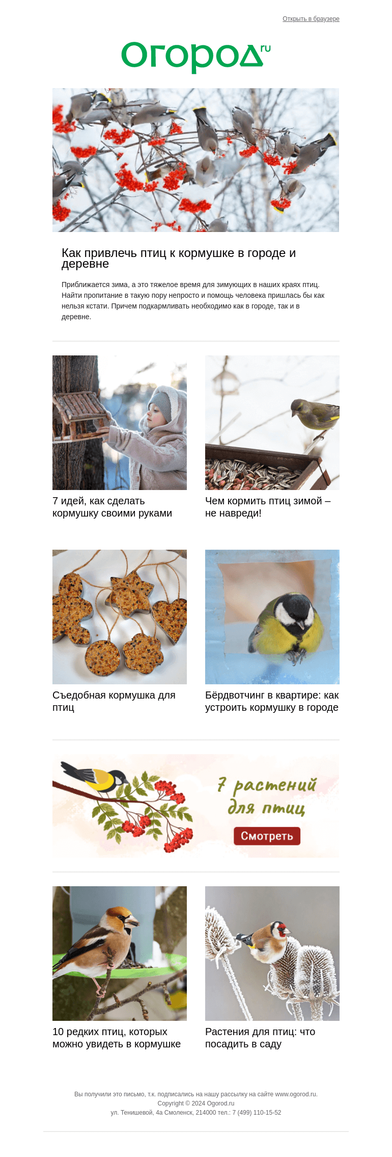 Письмо компании «Огород.ru» на тему «🐦‍⬛️ С заботой о пернатых: готовим кормушки и вкусняшки»