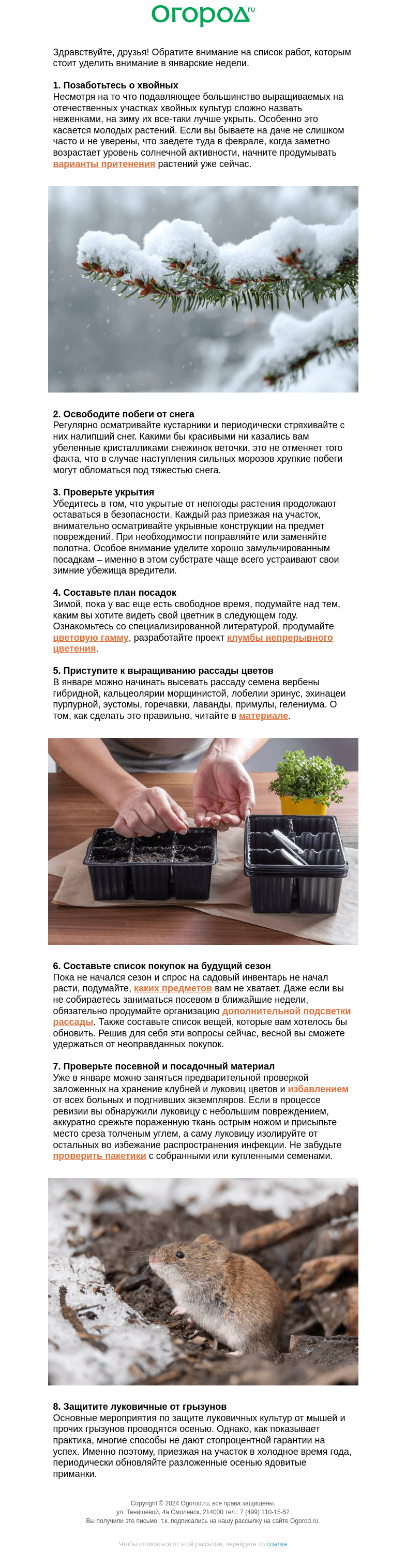 Письмо компании «Огород.ru» на тему «Зимние работы в цветнике 🌲»