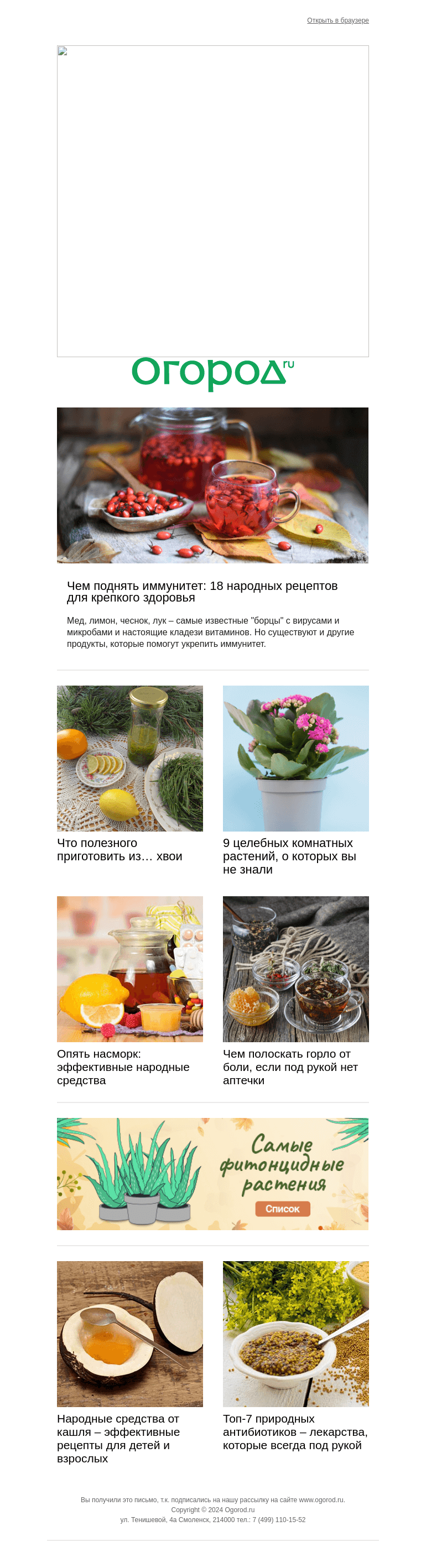 Письмо компании «Огород.ru» на тему «🍵 Укрепляем организм в сезон простуд»