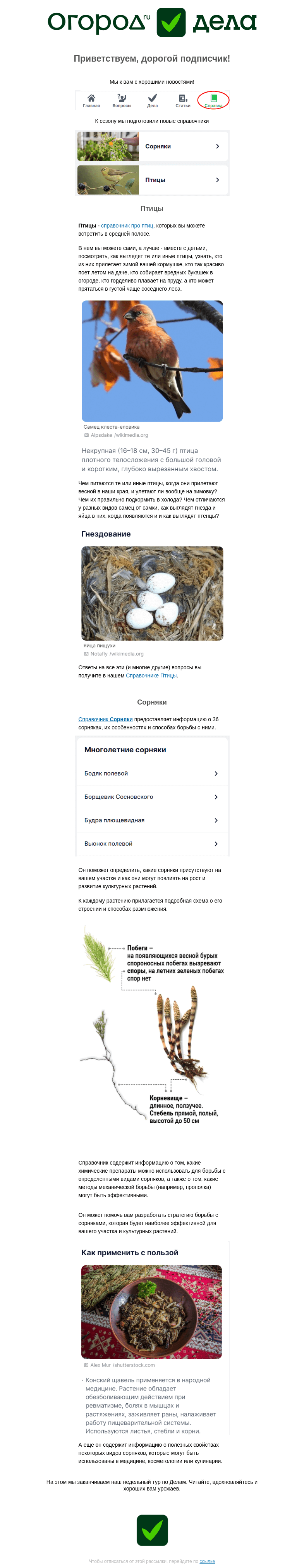 Письмо компании «Огород.ru» на тему «Новое в Делах: теперь про птиц и сорняки! »