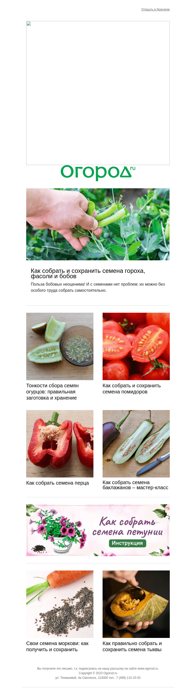 Письмо компании «Огород.ru» на тему «Собираем семена овощей по всем правилам 🥒🍅🍆»