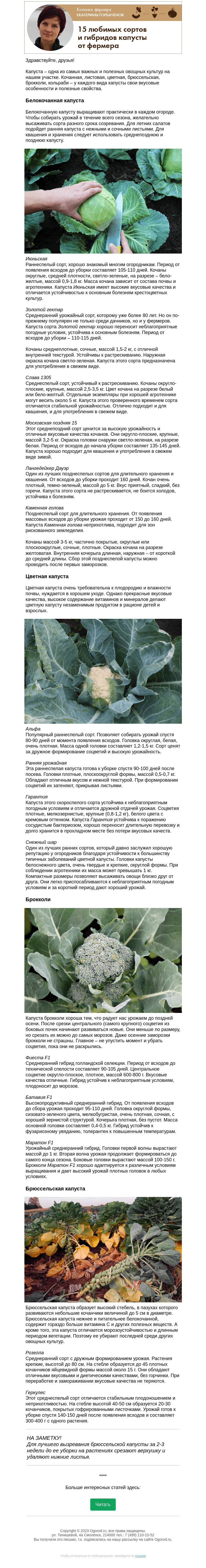 Письмо компании «Огород.ru» на тему «Колонка фермера. 15 любимых сортов и гибридов капусты от фермера»
