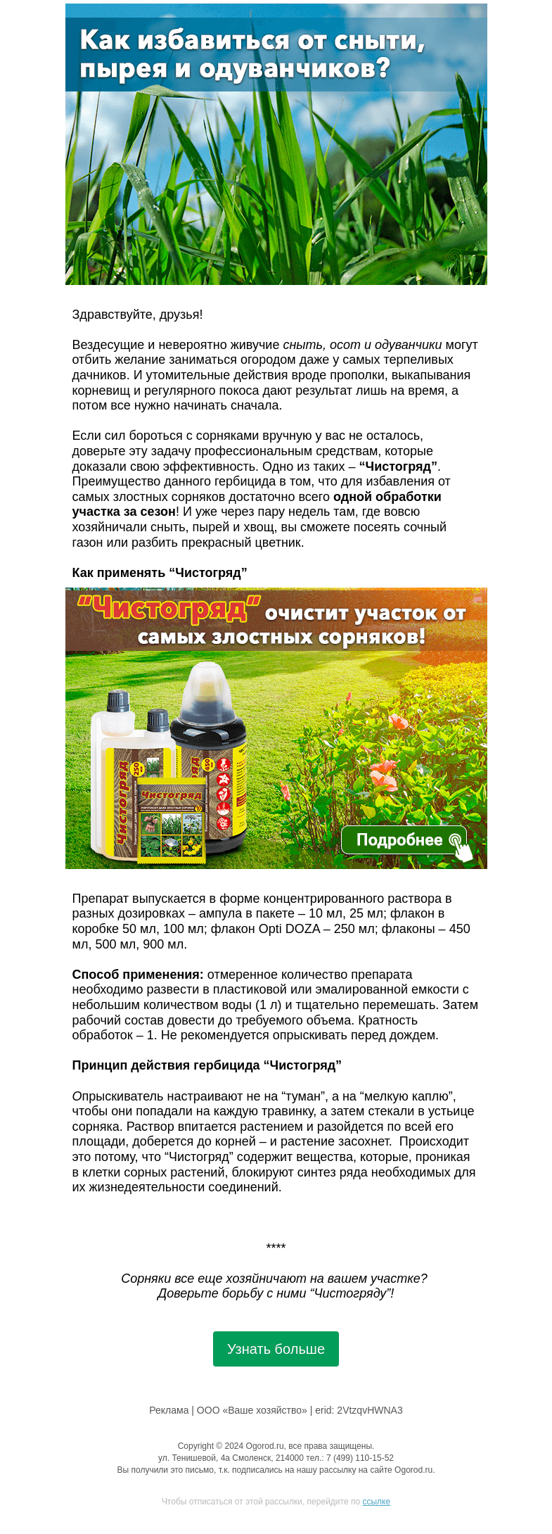 Письмо компании «Огород.ru» на тему «Как избавиться от сныти, пырея и одуванчиков»