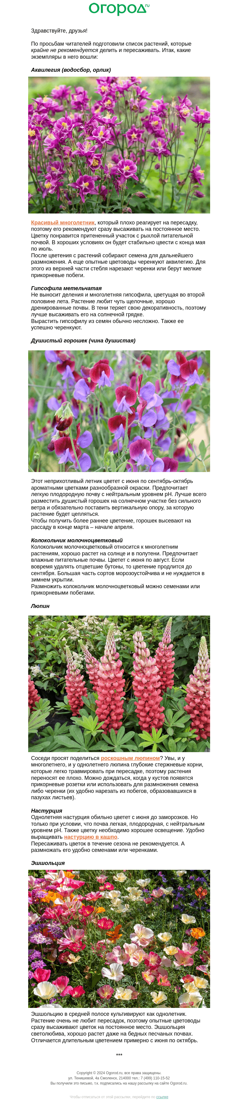 Письмо компании «Огород.ru» на тему «Цветы, которые не делят ❌»