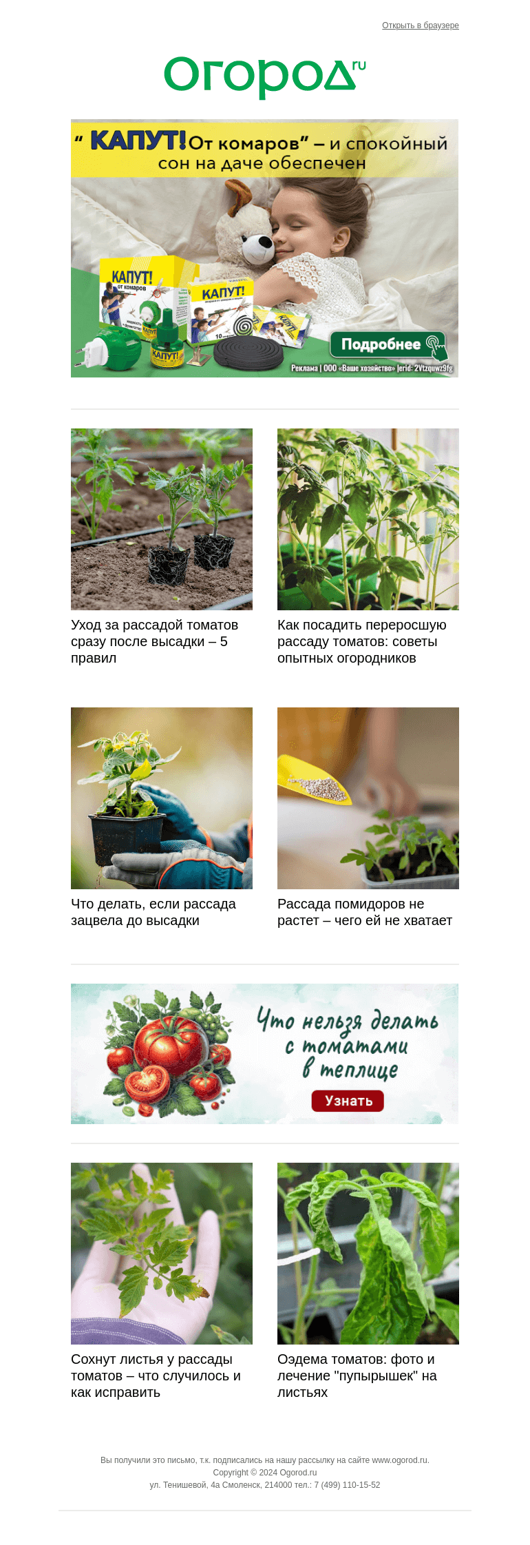 Письмо компании «Огород.ru» на тему «Решаем проблемы с рассадой томатов🌱»