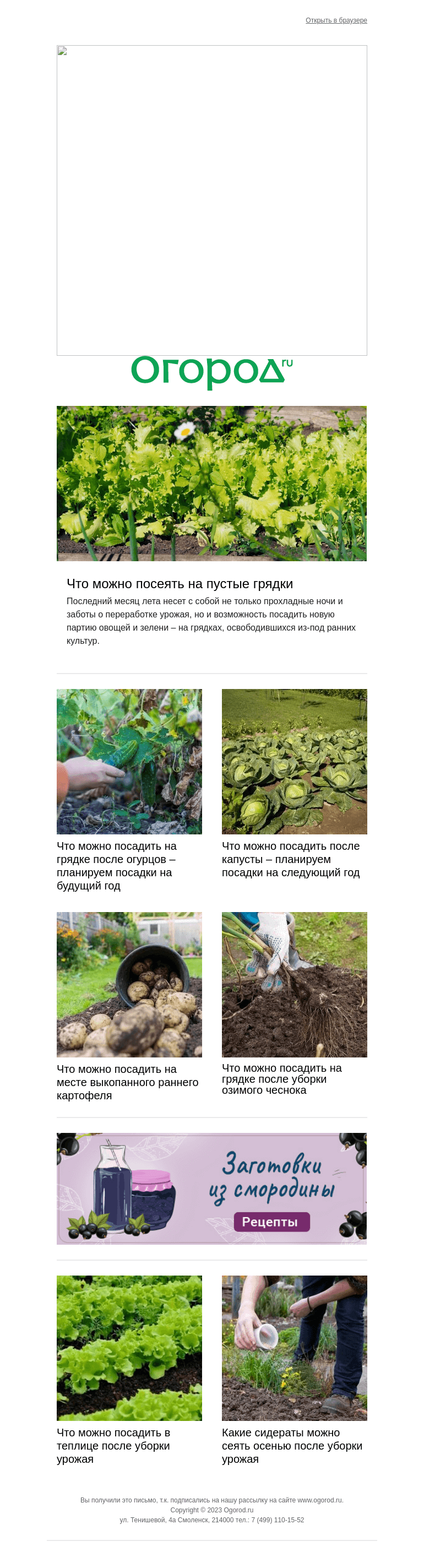 Письмо компании «Огород.ru» на тему «Что можно посеять на освободившихся грядках»