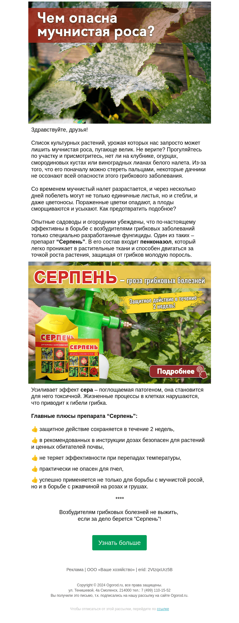 Письмо компании «Огород.ru» на тему «Чем опасна мучнистая роса»