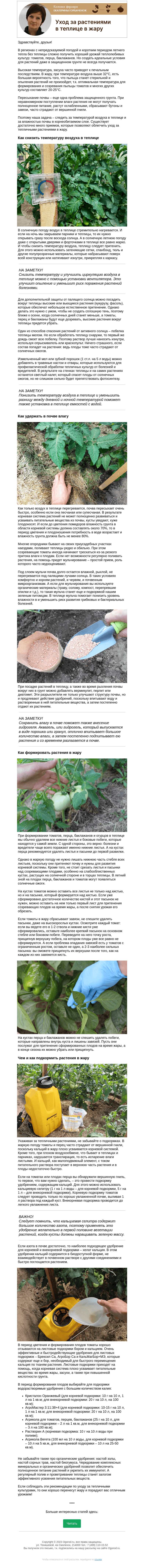 Письмо компании «Огород.ru» на тему «Колонка фермера. Уход за растениями в теплице в жару»