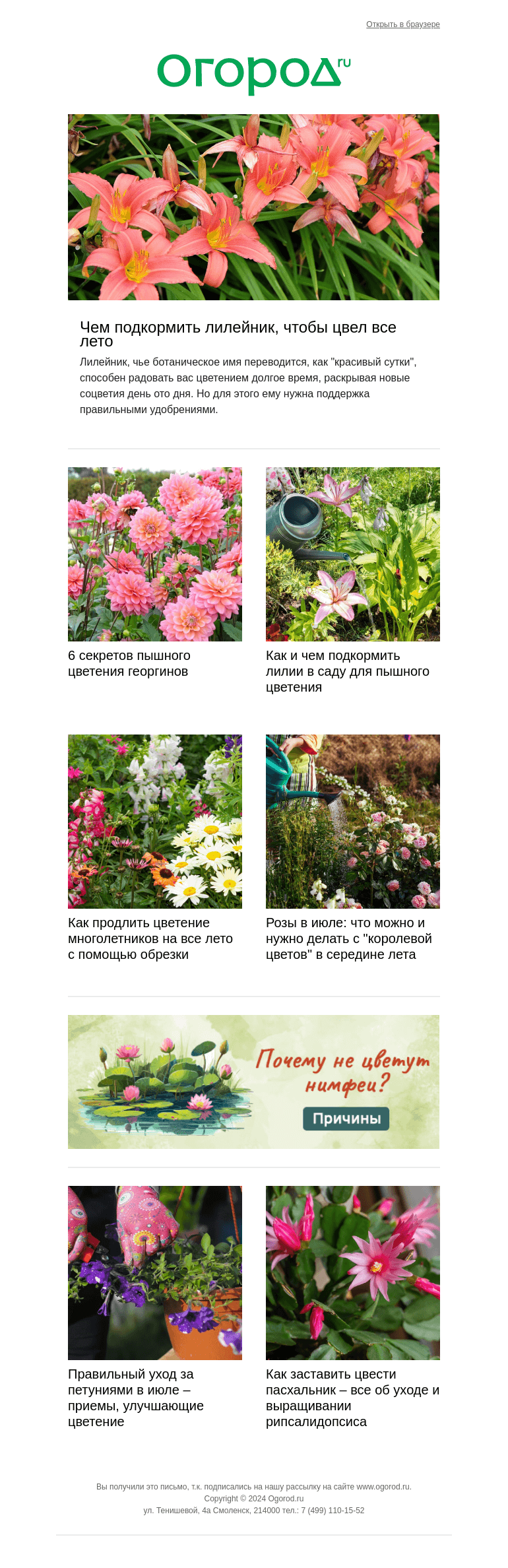 Письмо компании «Огород.ru» на тему «🌹 Усиливаем цветение июльской клумбы 🌹»