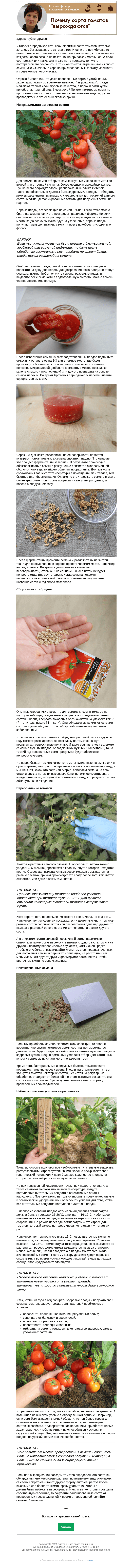 Письмо компании «Огород.ru» на тему «Колонка фермера. Почему сорта томатов "вырождаются"»