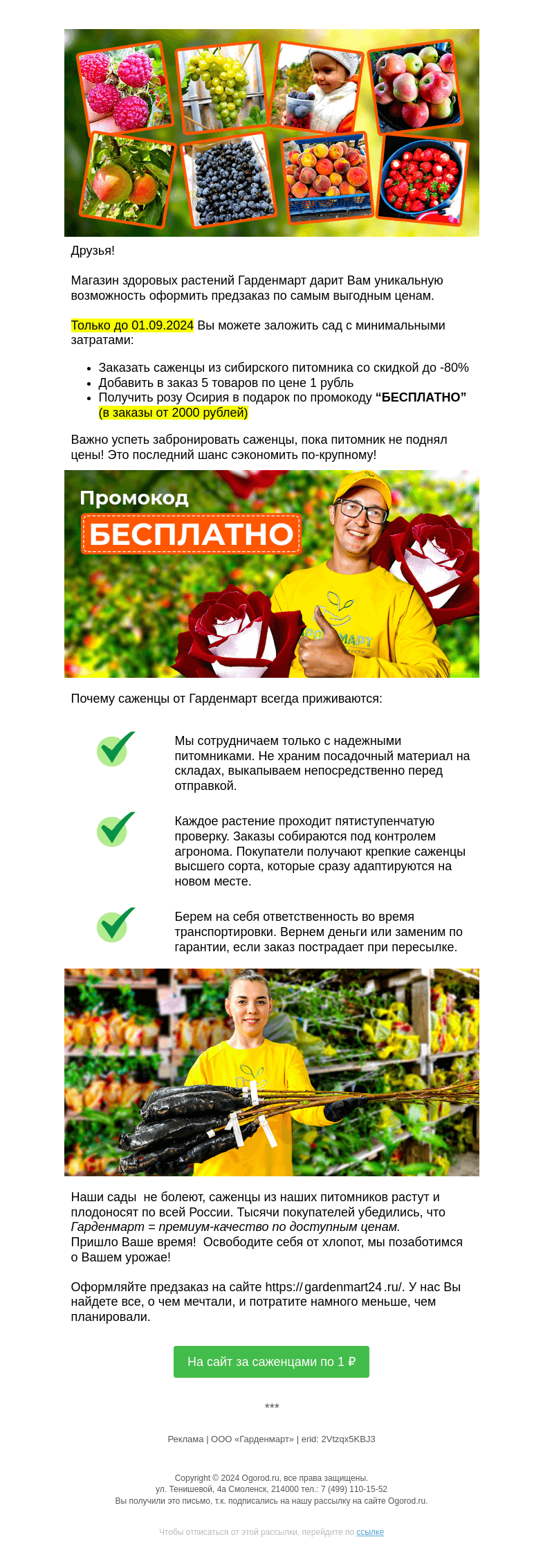 Письмо компании «Огород.ru» на тему «Рекордное снижение цен на саженцы!»