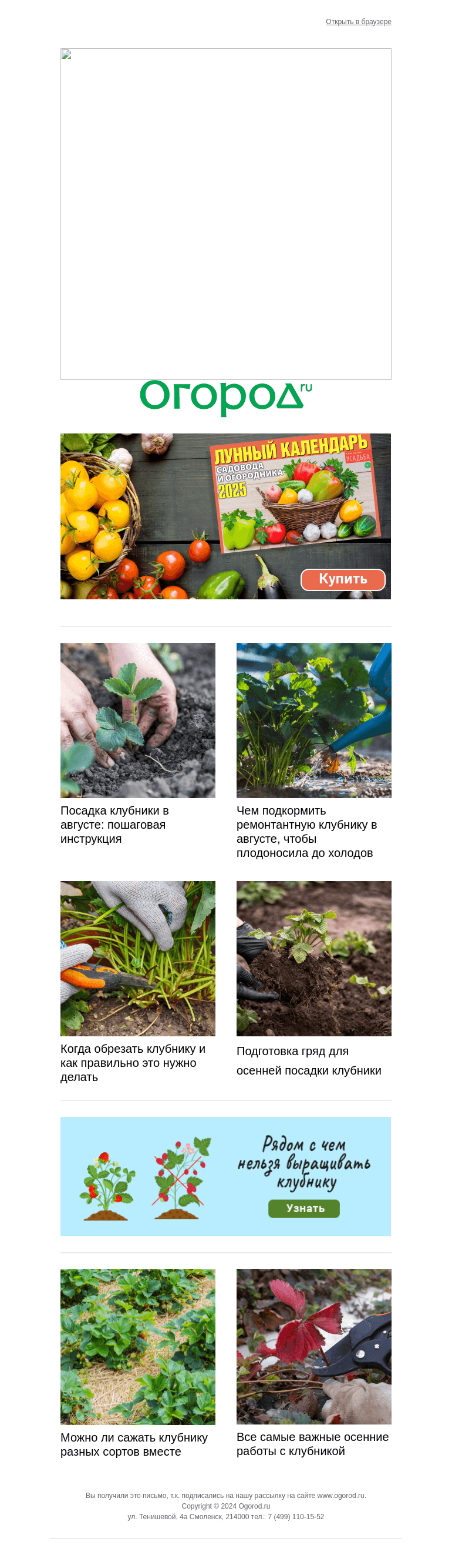 Письмо компании «Огород.ru» на тему «🍓 "Клубничные" заботы в августе »