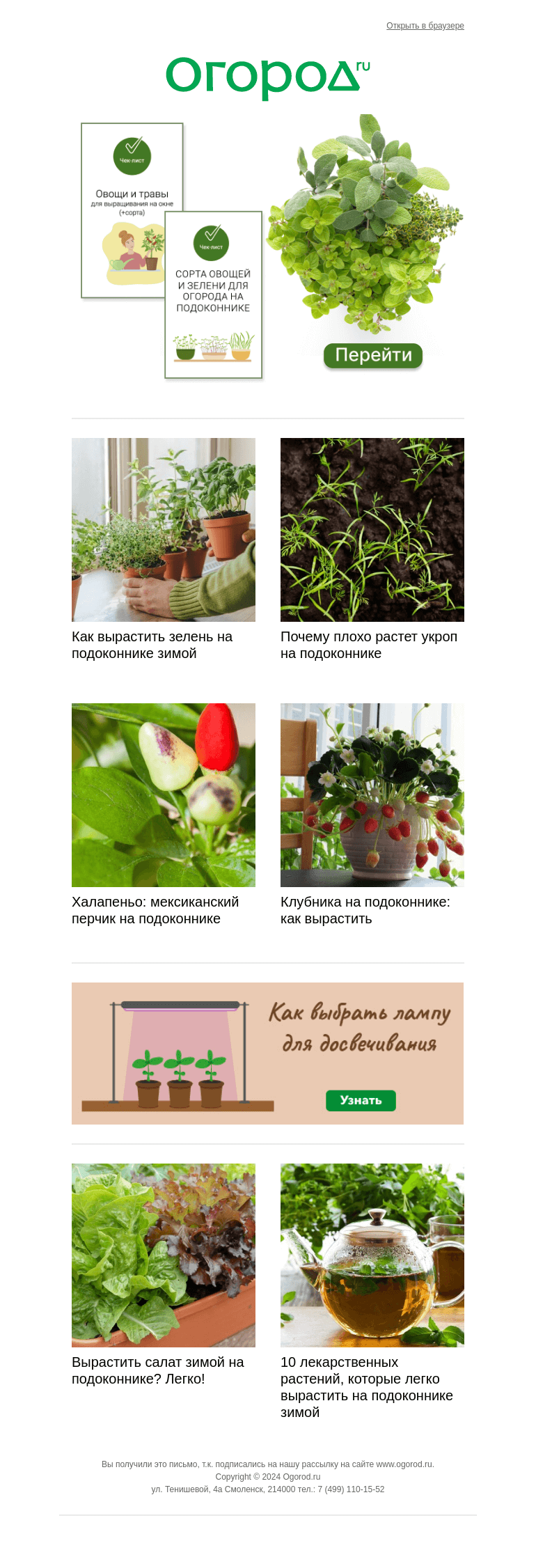 Письмо компании «Огород.ru» на тему «🌱 Витамины на окне без хлопот»