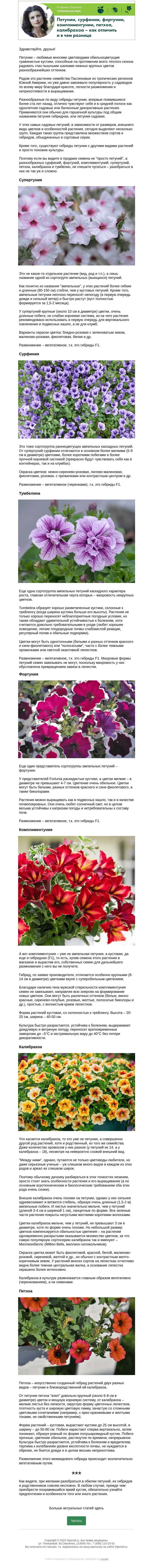 Письмо компании «Огород.ru» на тему «Колонка биолога: петунии, сурфинии, фортунии, комплиментунии, петхоа, калибрахоа – как отличить и в чем разница»