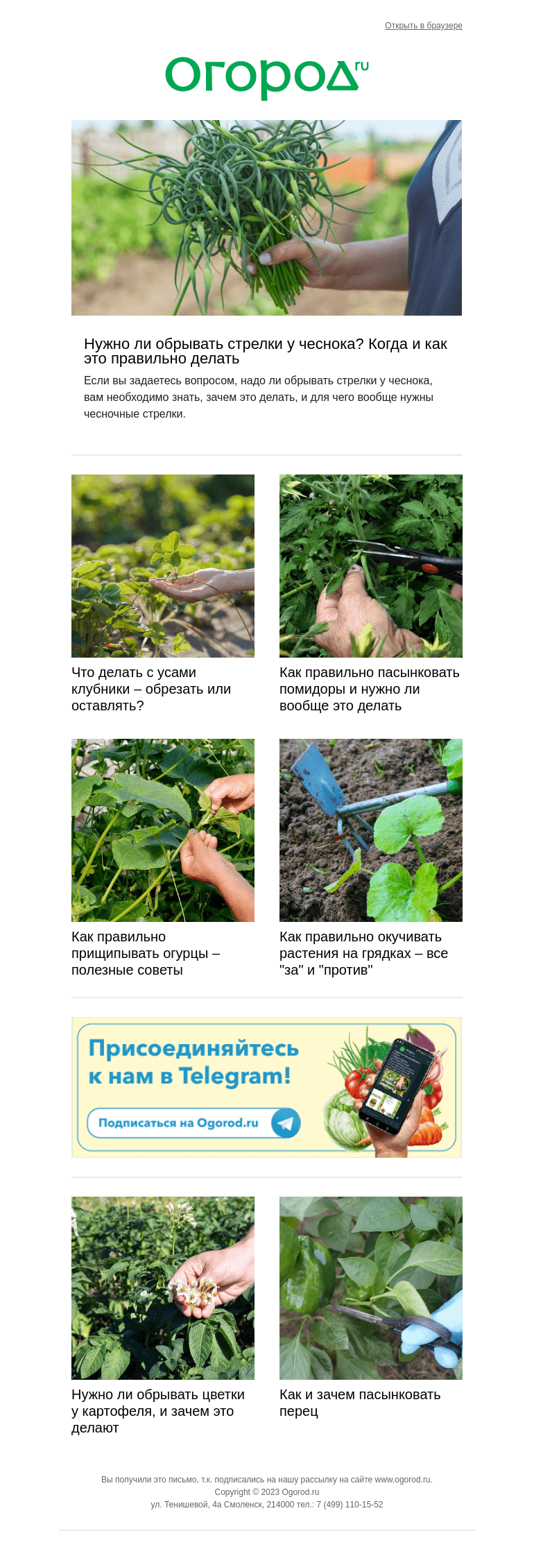 Письмо компании «Огород.ru» на тему «Спорные дачные процедуры – выполнять или нет?»