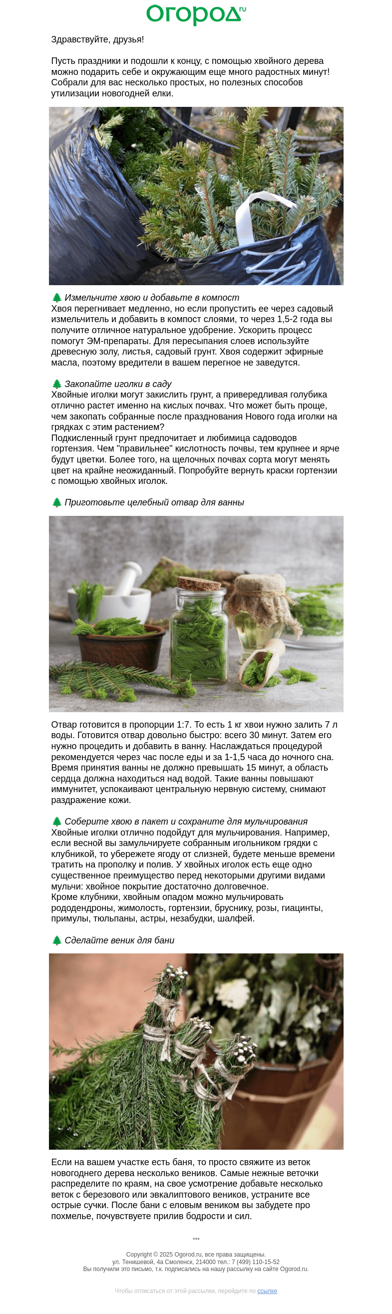 Письмо компании «Огород.ru» на тему «🌲 Куда применить елку после праздника»