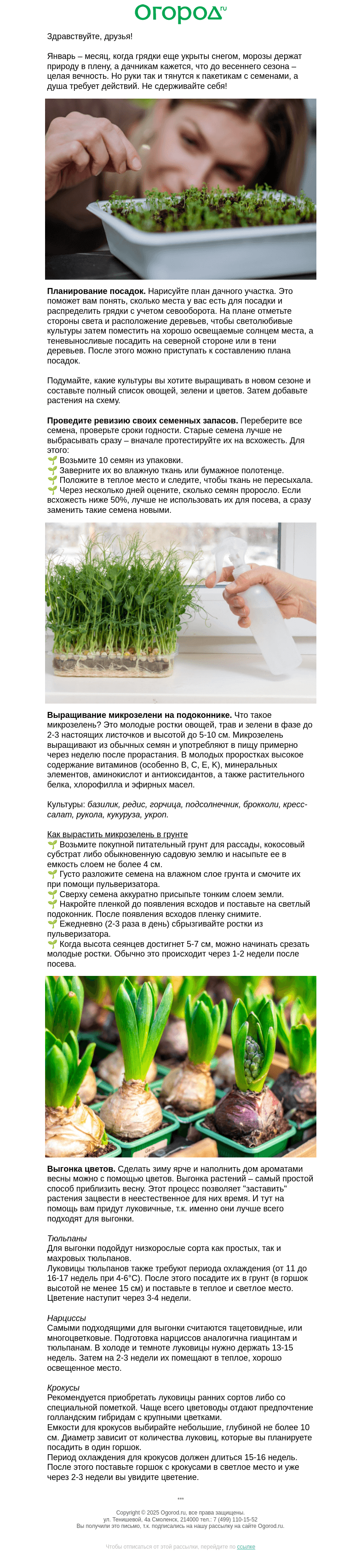 Письмо компании «Огород.ru» на тему «💡 Как унять дачную тоску»