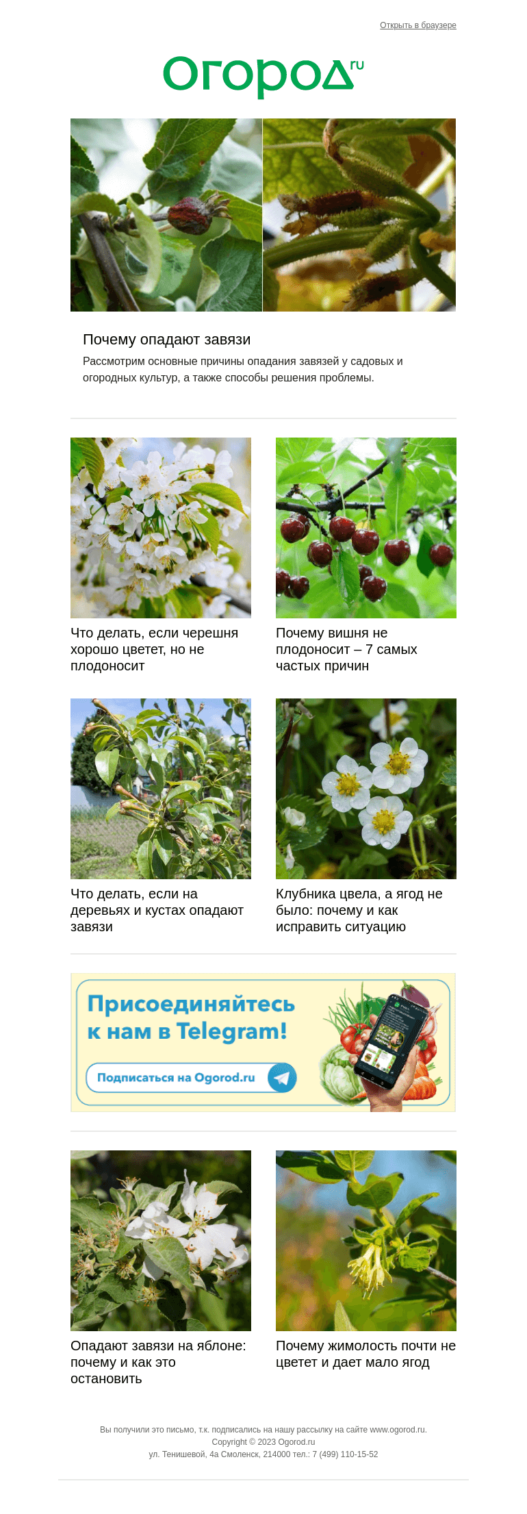 Письмо компании «Огород.ru» на тему «Почему опадают завязи? »