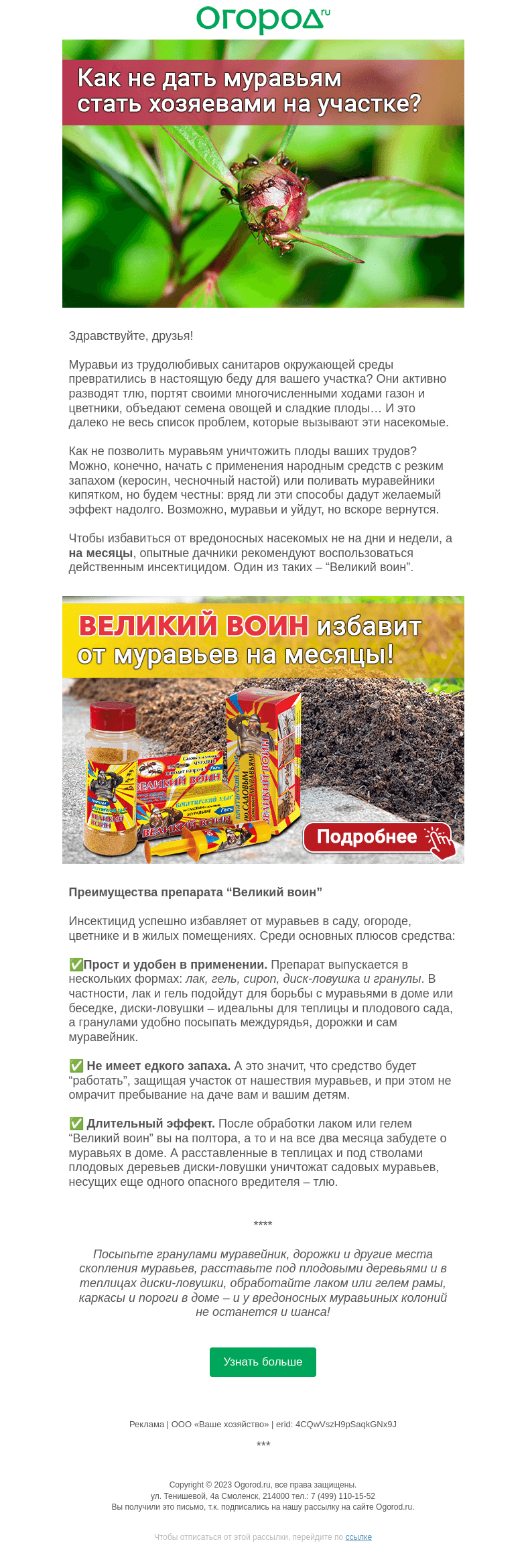 Письмо компании «Огород.ru» на тему «Как избавиться от муравьев на месяцы»