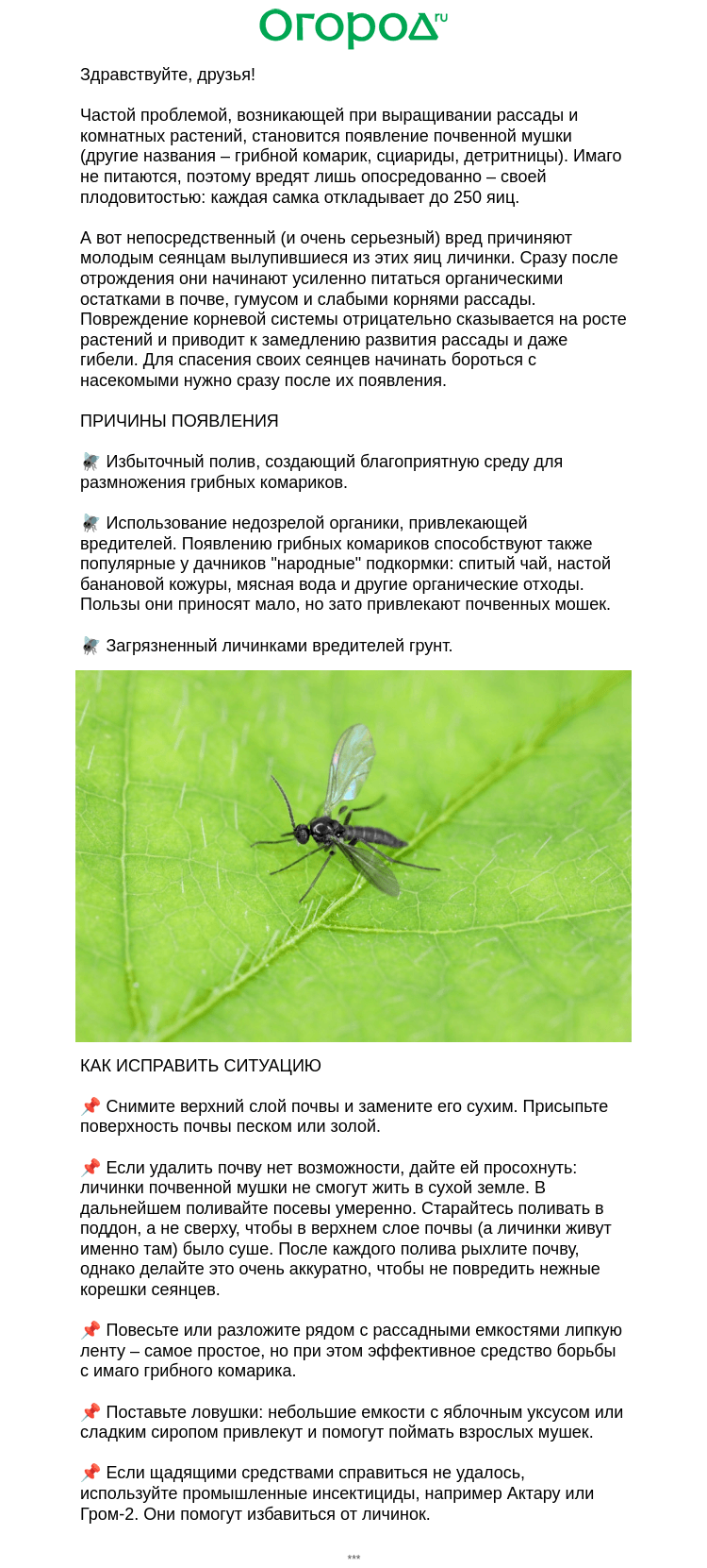Письмо компании «Огород.ru» на тему «🪰 Замучали почвенные мушки?»