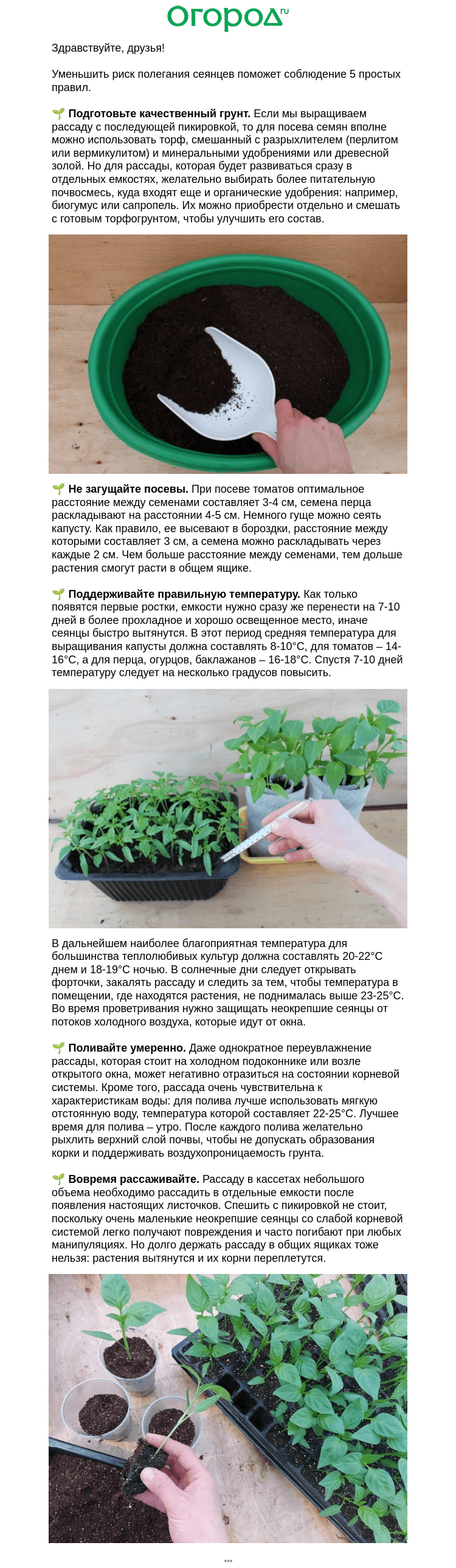Письмо компании «Огород.ru» на тему «🌱 черной ножке НЕ быть, если…»