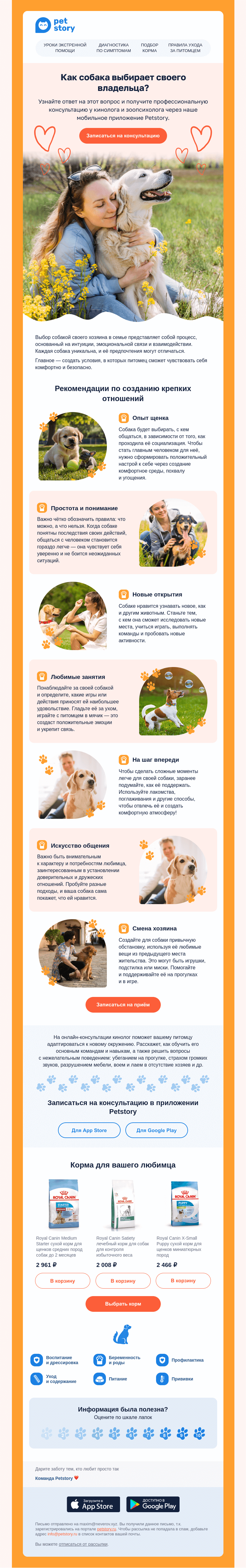 Письмо компании «Petstory» на тему «🧍‍♀😍🧍‍♂ Узнайте, как собака выбирает себе хозяина в семье»
