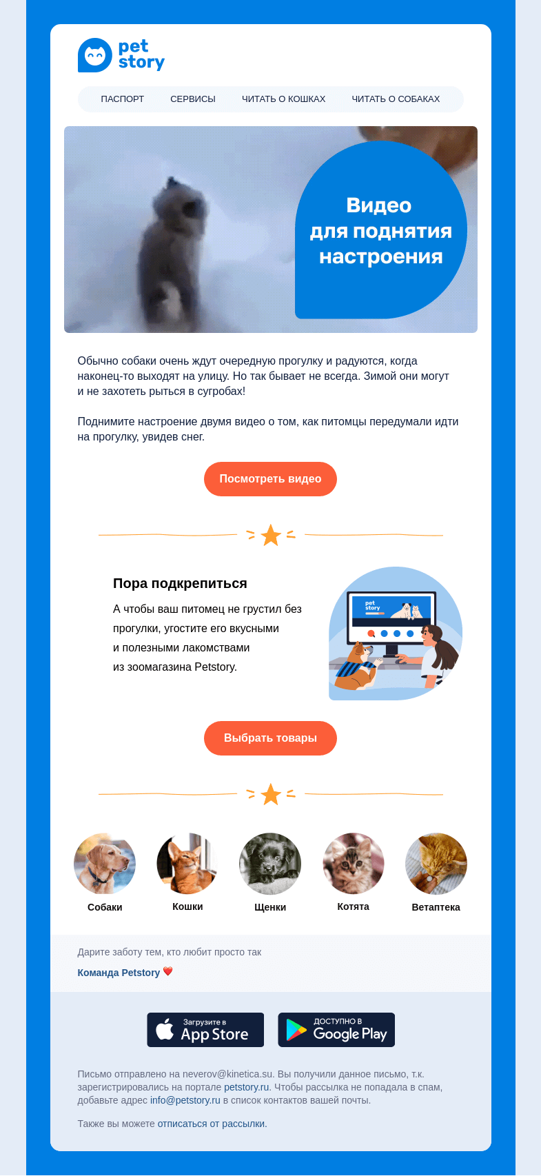 Письмо компании «Petstory» на тему «🐶 ❄️ Как собаки реагируют на первый снег»