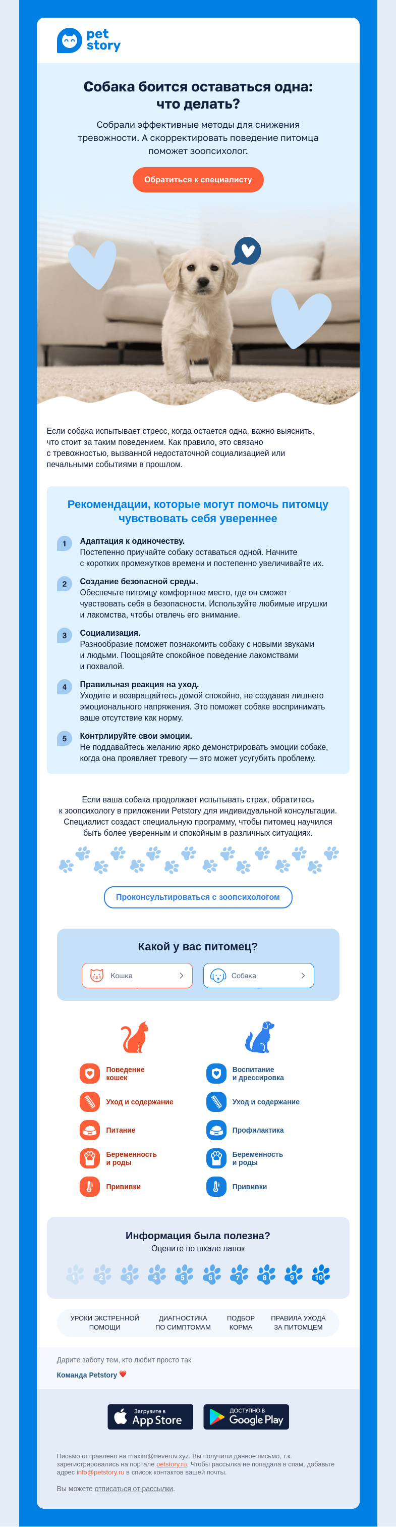 Письмо компании «Petstory» на тему «🐶💔 Как помочь собаке справиться со страхом одиночества»