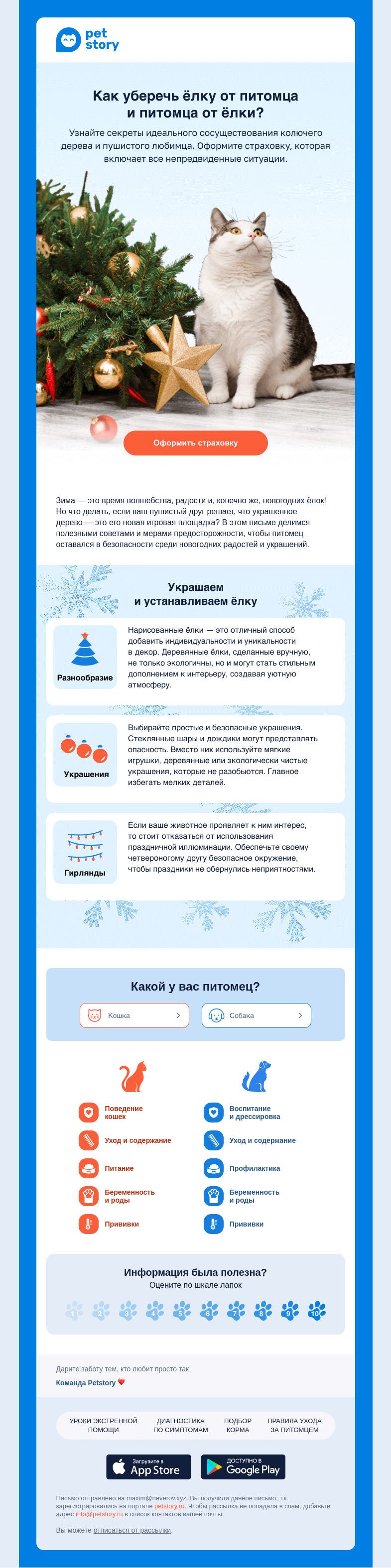 Письмо компании «Petstory» на тему «🌲 Как сохранить ёлку и питомца в безопасности»
