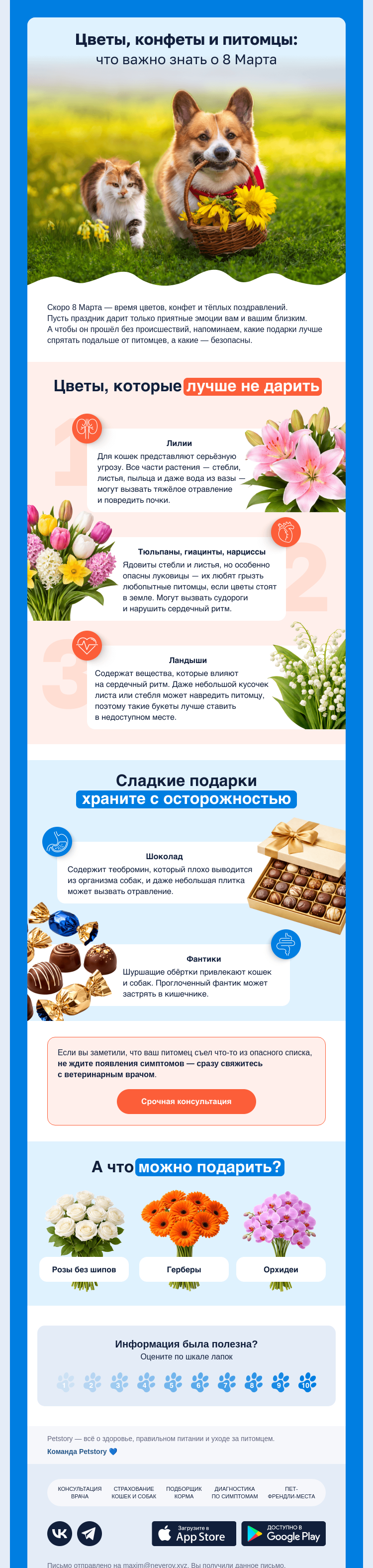 Письмо компании «Petstory» на тему «Гид по подаркам на 8 Марта»