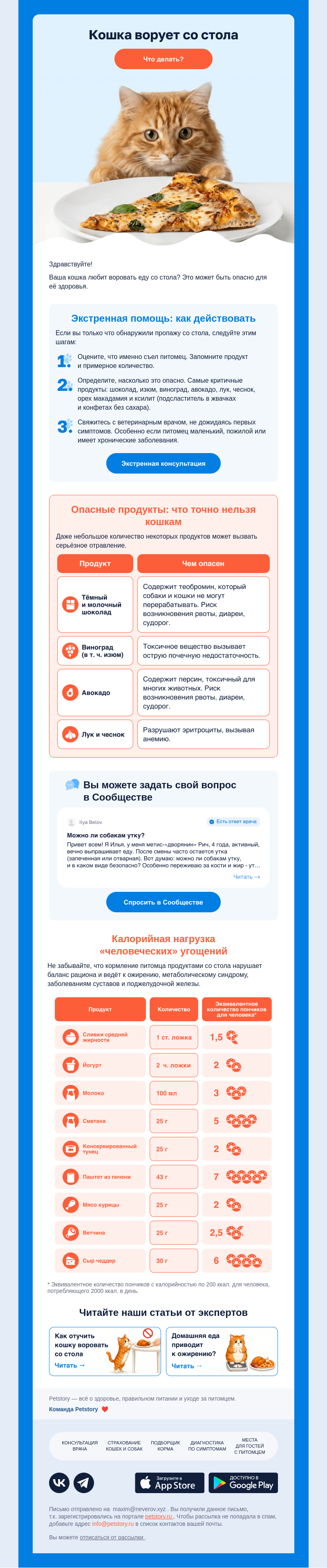 Письмо компании «Petstory» на тему «Питомец ворует со стола?»