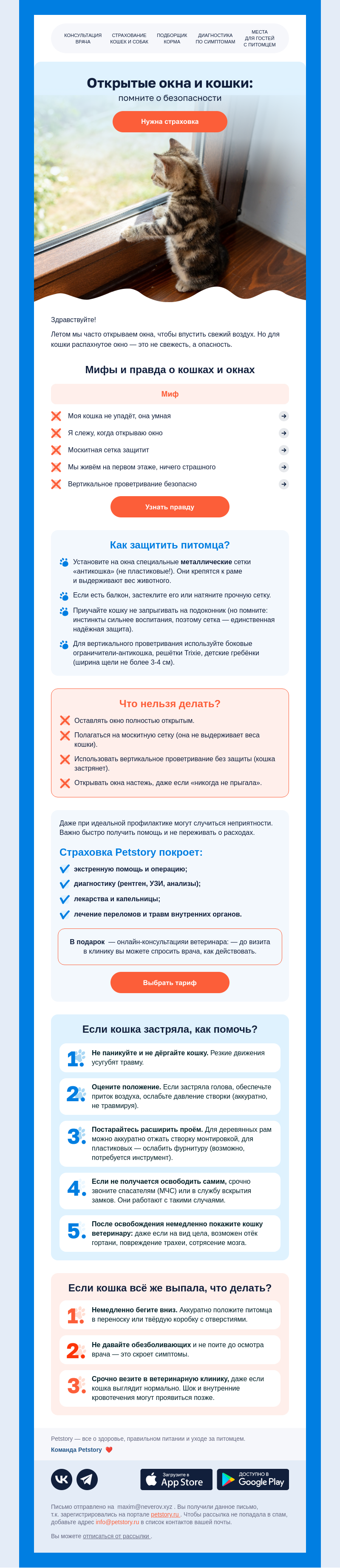 Письмо компании «Petstory» на тему «Окно и питомец: помните о безопасности»