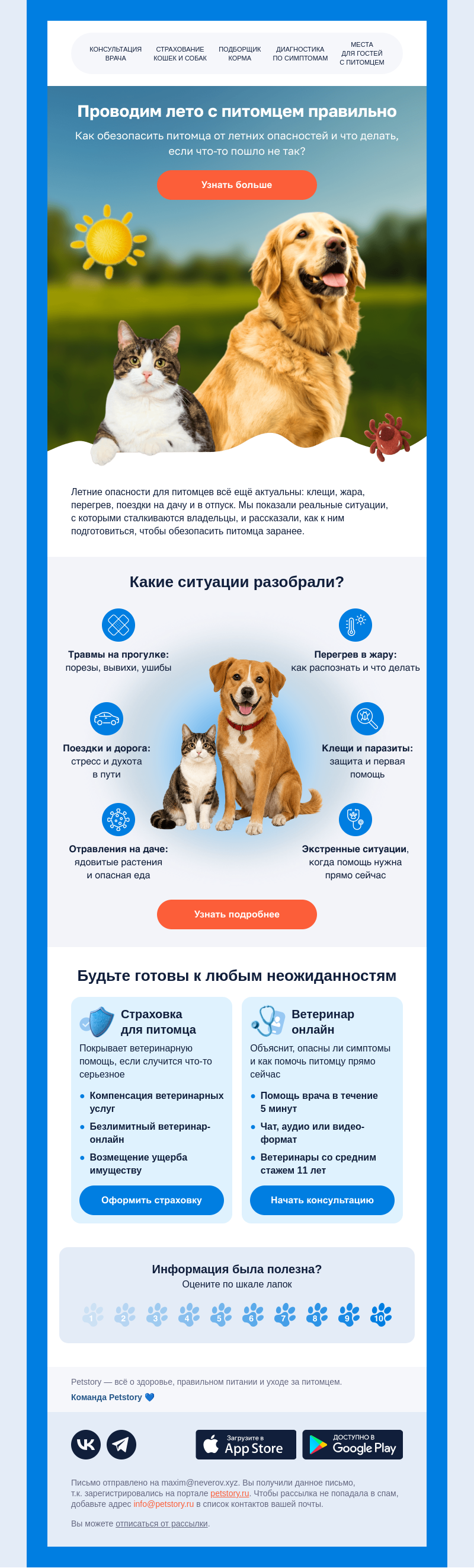 Письмо компании «Petstory» на тему «Питомец и летний сезон»
