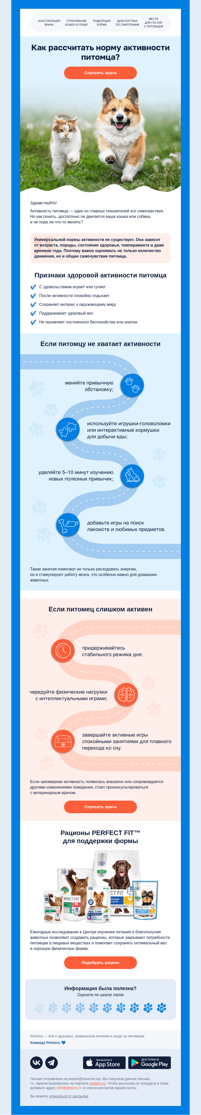 Письмо компании «Petstory» на тему «Достаточно ли активен ваш питомец?»