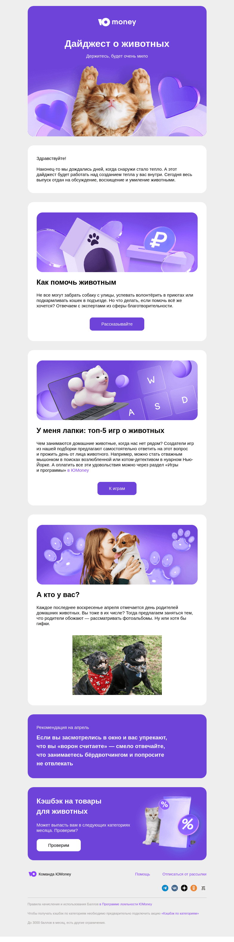 Письмо компании «ЮMoney» на тему «Дайджест о животных»