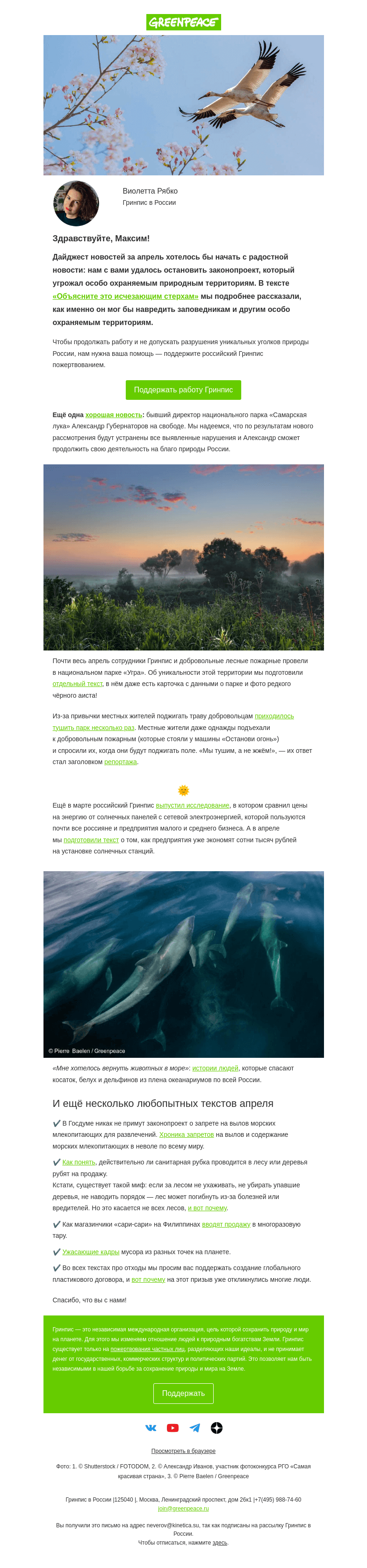 Письмо компании «Гринпис» на тему «Кого нам удалось спасти в апреле»