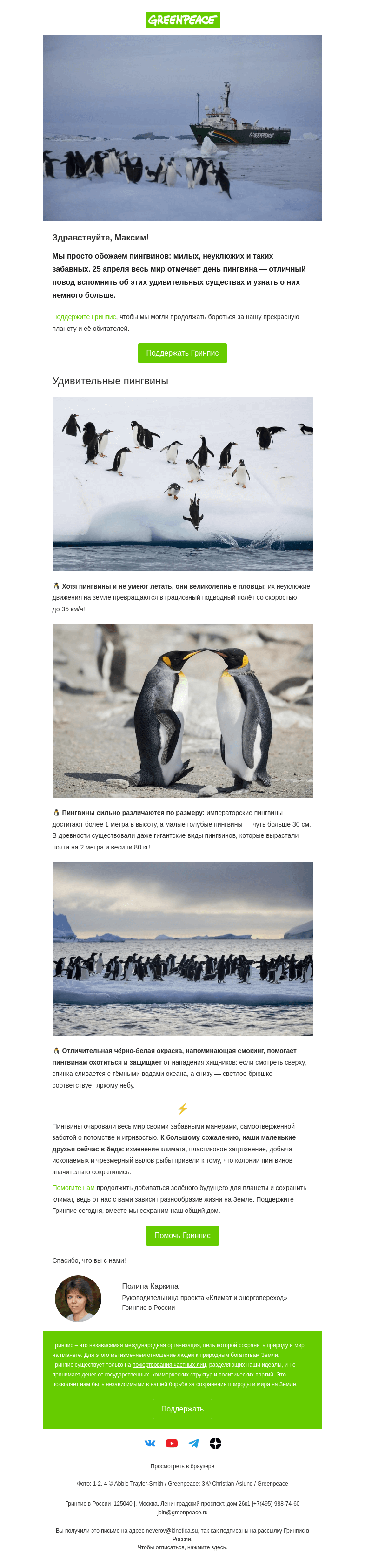Письмо компании «Гринпис» на тему «🐧 Милые и забавные пингвины»