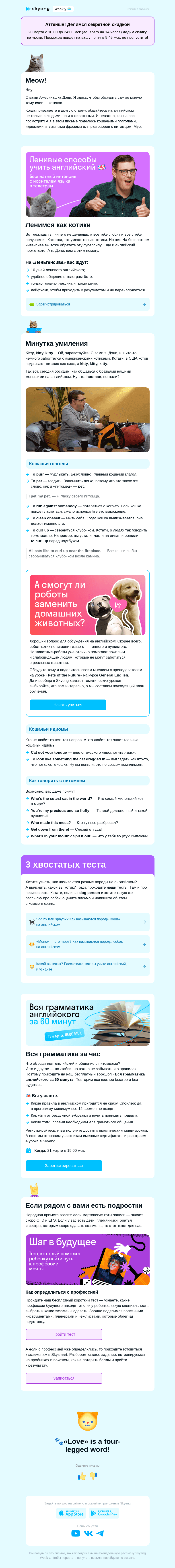 Письмо компании «Школа Skyeng» на тему «😻 Кошачьи глаголы с Дэни»