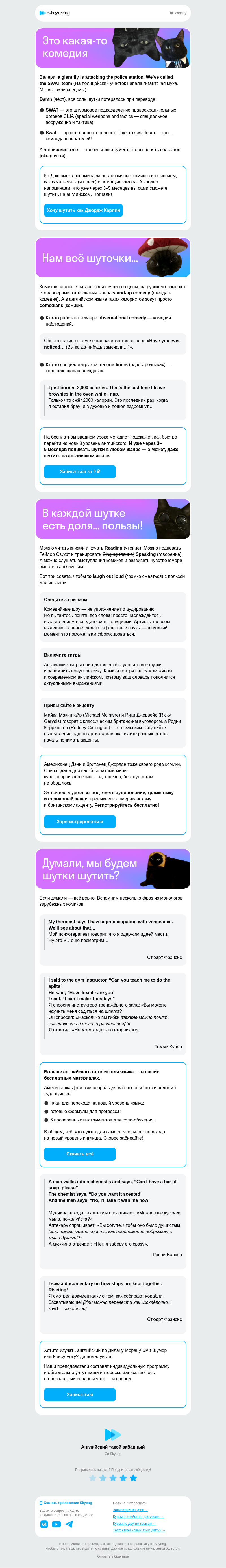 Письмо компании «Школа Skyeng» на тему «Шуточки для вашего английского»