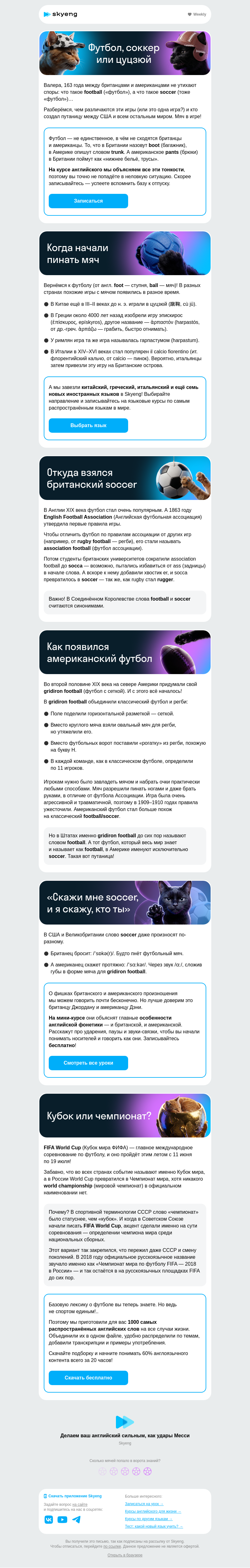 Письмо компании «Школа Skyeng» на тему «Отфутболим ошибки»