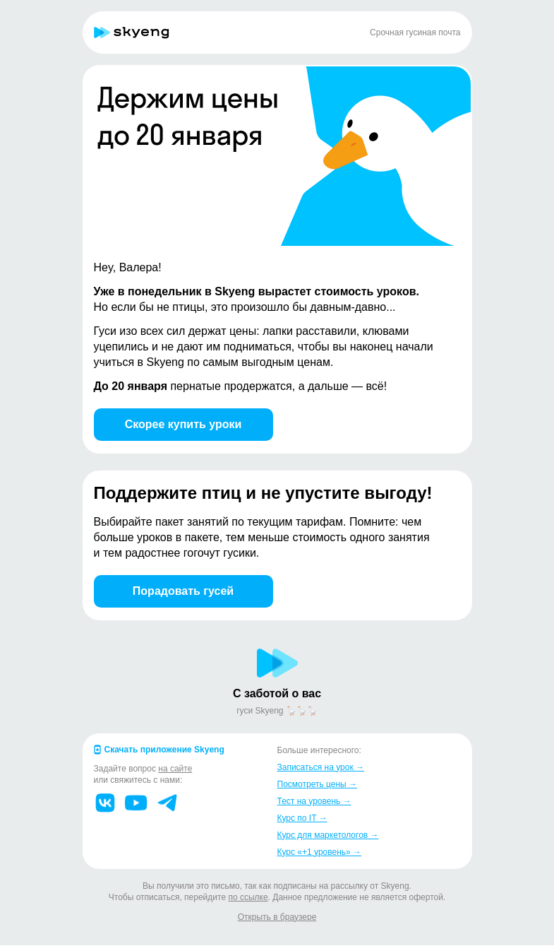 Письмо компании «Школа Skyeng» на тему «Цены удерживают только гуси!»