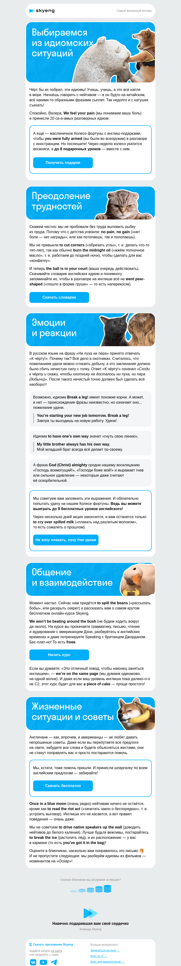 Письмо компании «Школа Skyeng» на тему «20 жизовых идиом и до 8 free уроков»