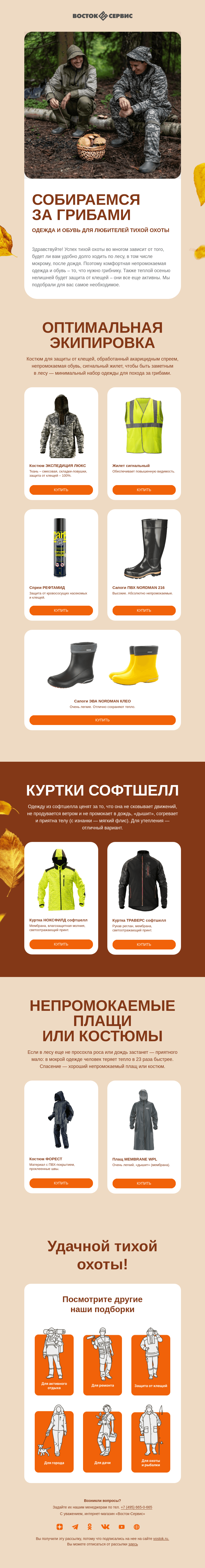 Письмо компании «Восток-Сервис» на тему «Собираемся за грибами»